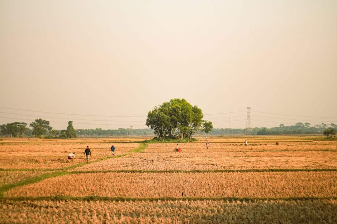 Het dichten van de kloof in de gezondheidszorg: RE.DOCTOR brengt screening van vitale functies naar plattelandsgemeenschappen met behulp van smartphone-PPG-technologie